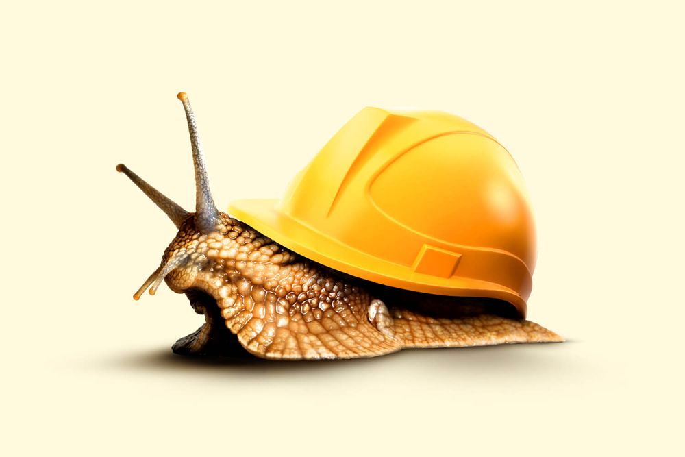 snail with hardhat 