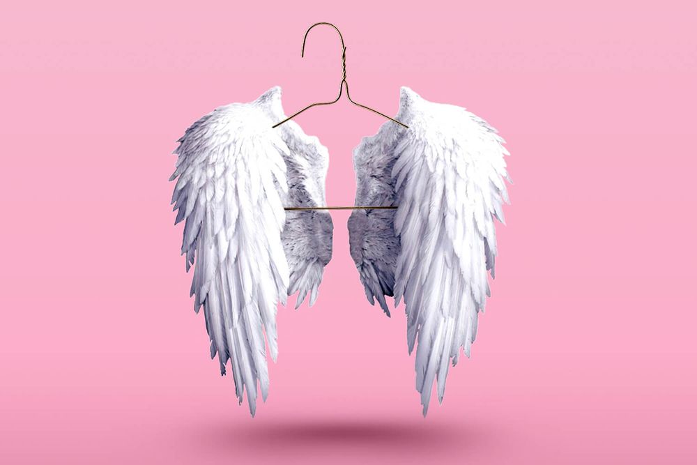 Victoria's Secret wings on a coat hanger 