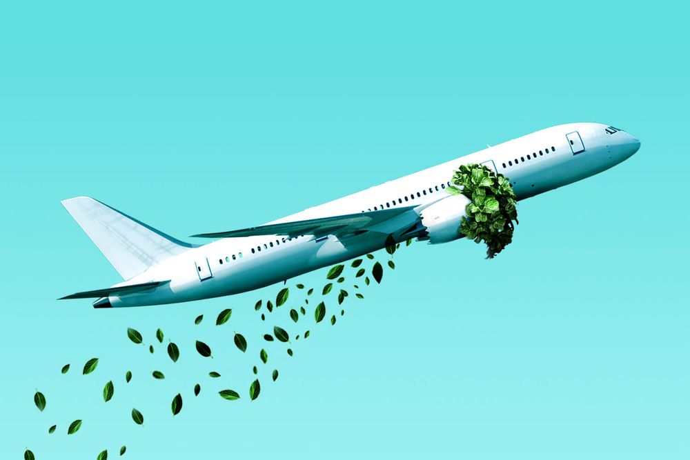An illustration of a plane taking off against a blue sky; the front of the engines are covered in greenery, and leaves are trailing behind the plane like chemtrails. 