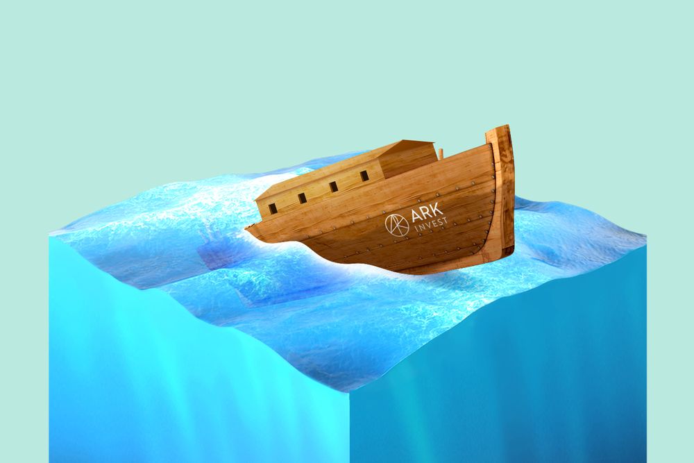An ark sinking with Ark Investment's logo on the side