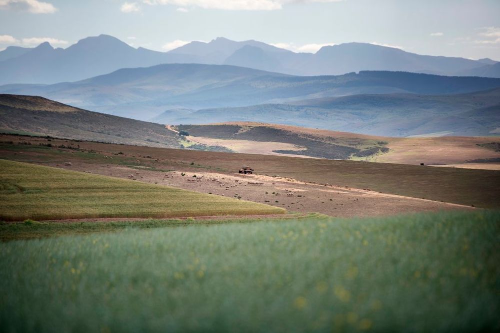 Country landscape