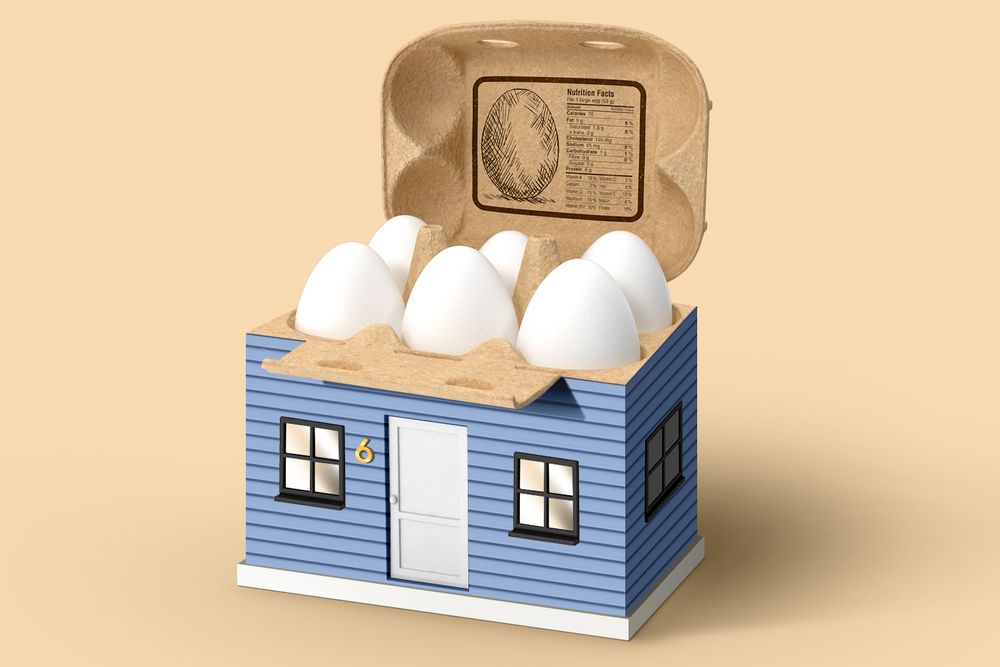 Egg carton in a house