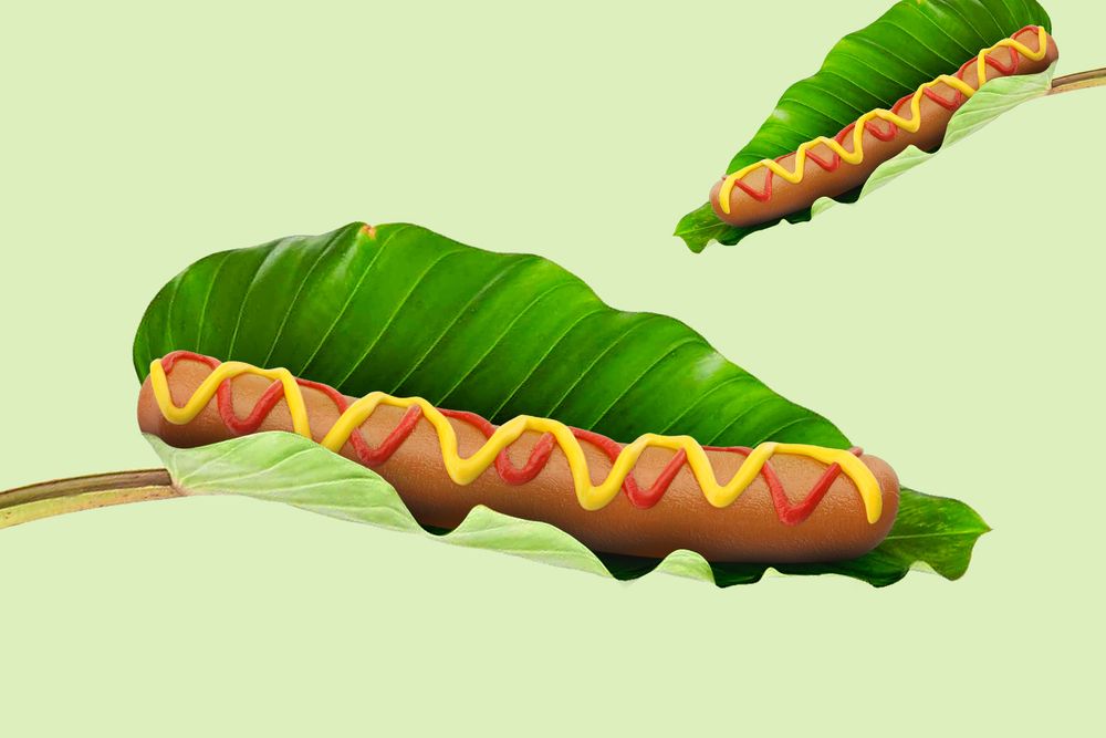 Plant-based hot dog