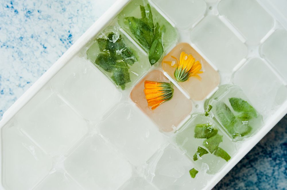 frozen ice cubes with orange calendula flower and green leaves, home cosmetics for face care