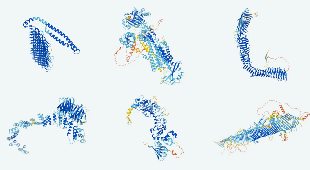 Protein structures