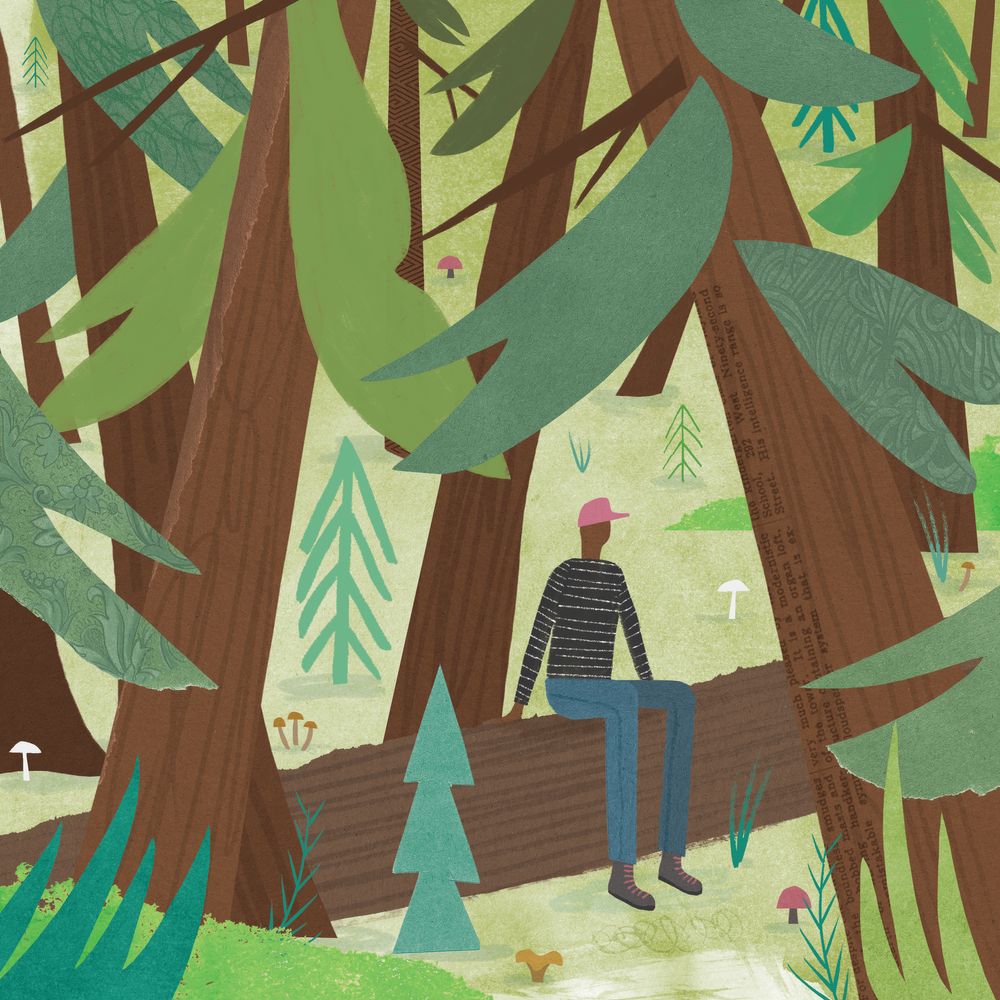 An illustration of a guy sitting on a log in the woods