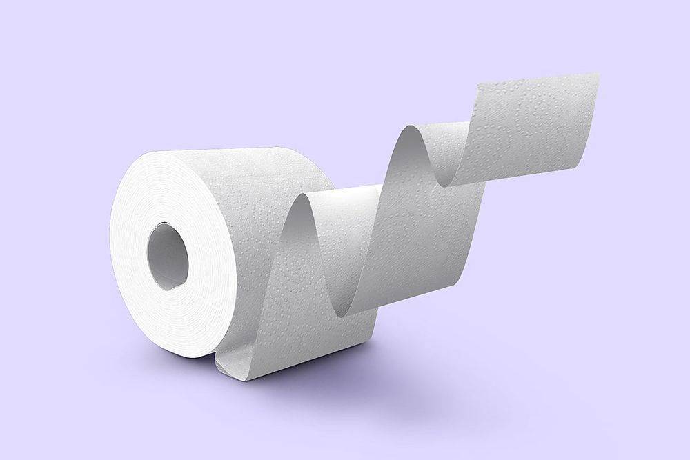 toilet paper 