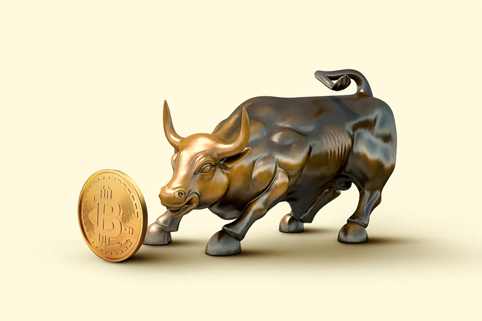 Bull with crypto 