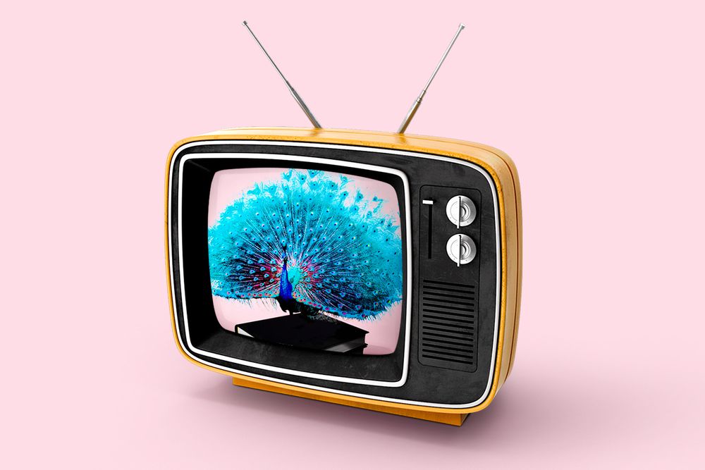 Old TV with a peacock