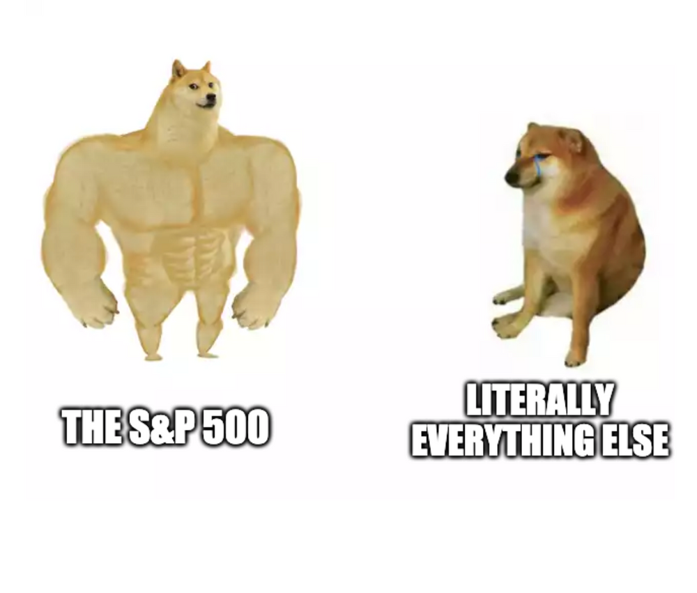 Stock market doge meme with one big doge and one small doge