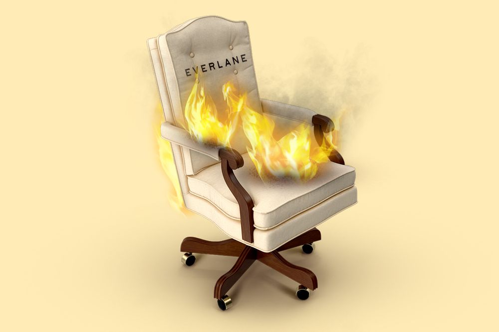 Everlane hot seat