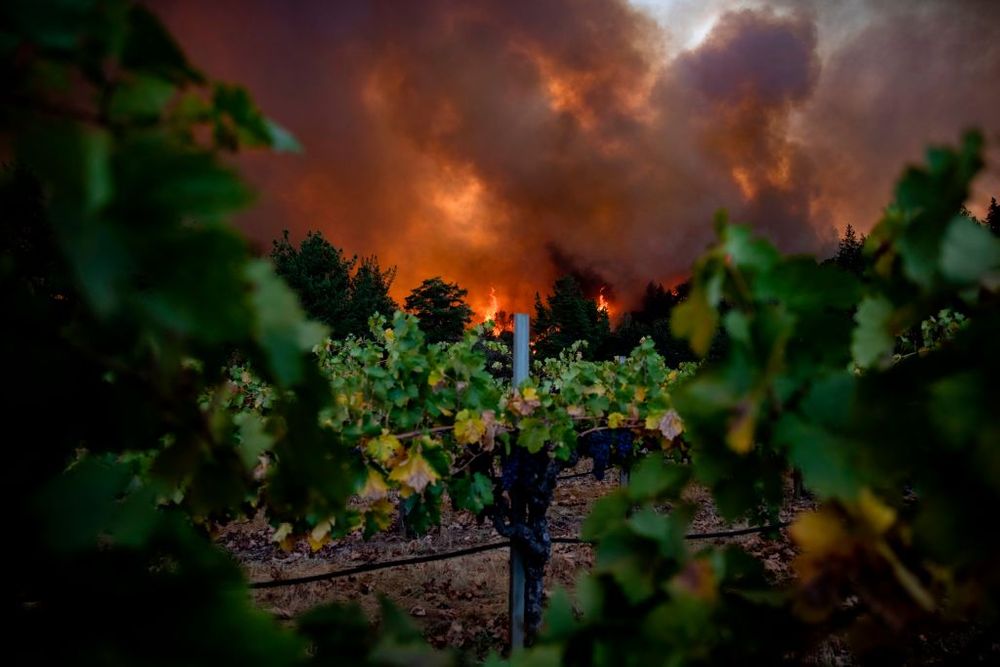 Fire in wine country 