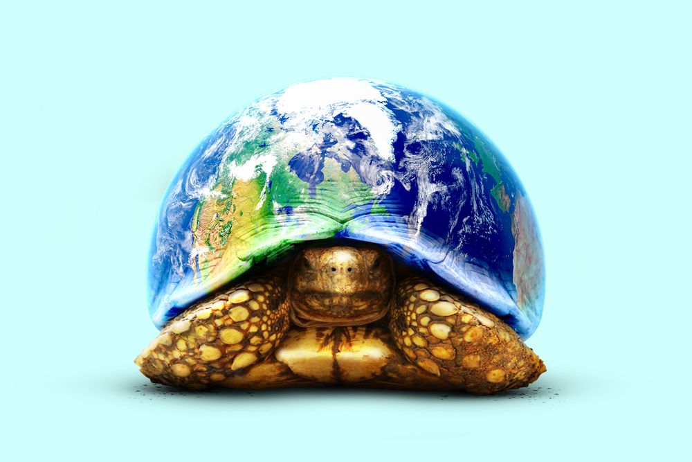 World turtle
