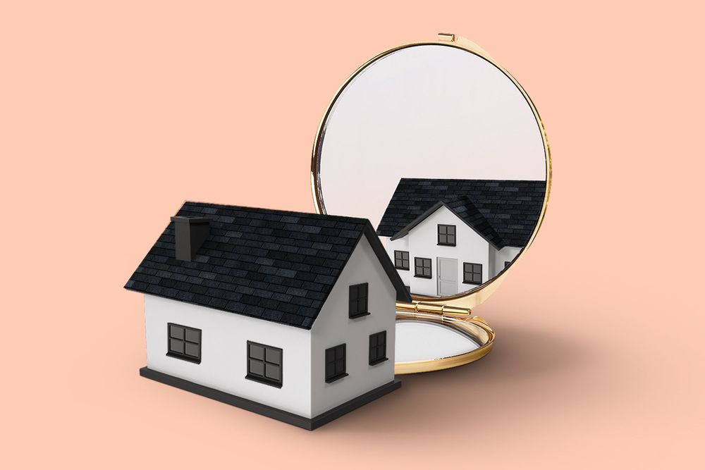 House looking into a compact mirror