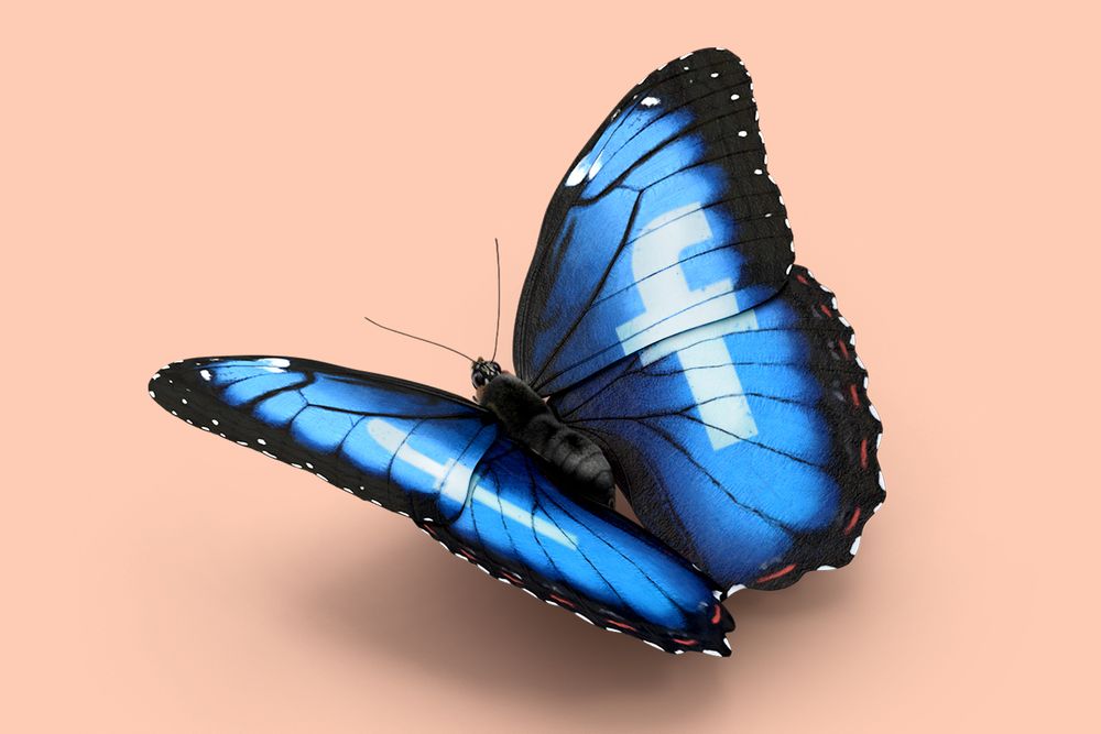 A blue butterfly with Facebook's logo on the wings