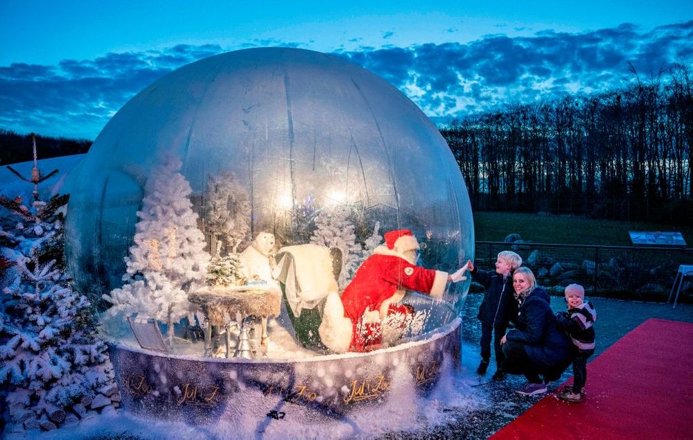 A Santa is seen in a coronavirus-safe plastic bubble at the Zoo in Aalborg, Denmark, on November 13, 2020.