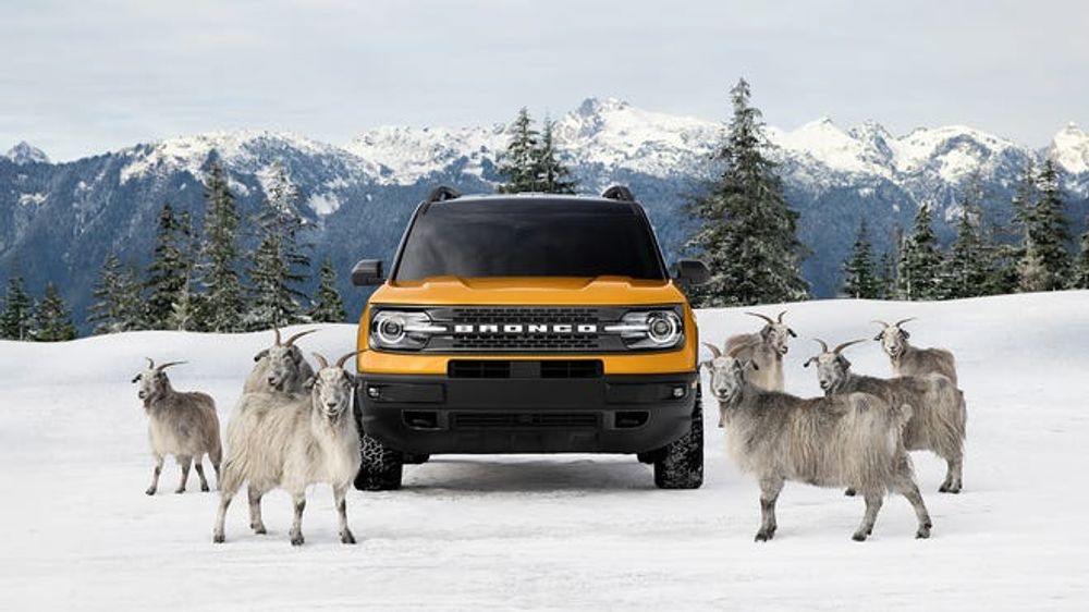 ford bronco goats