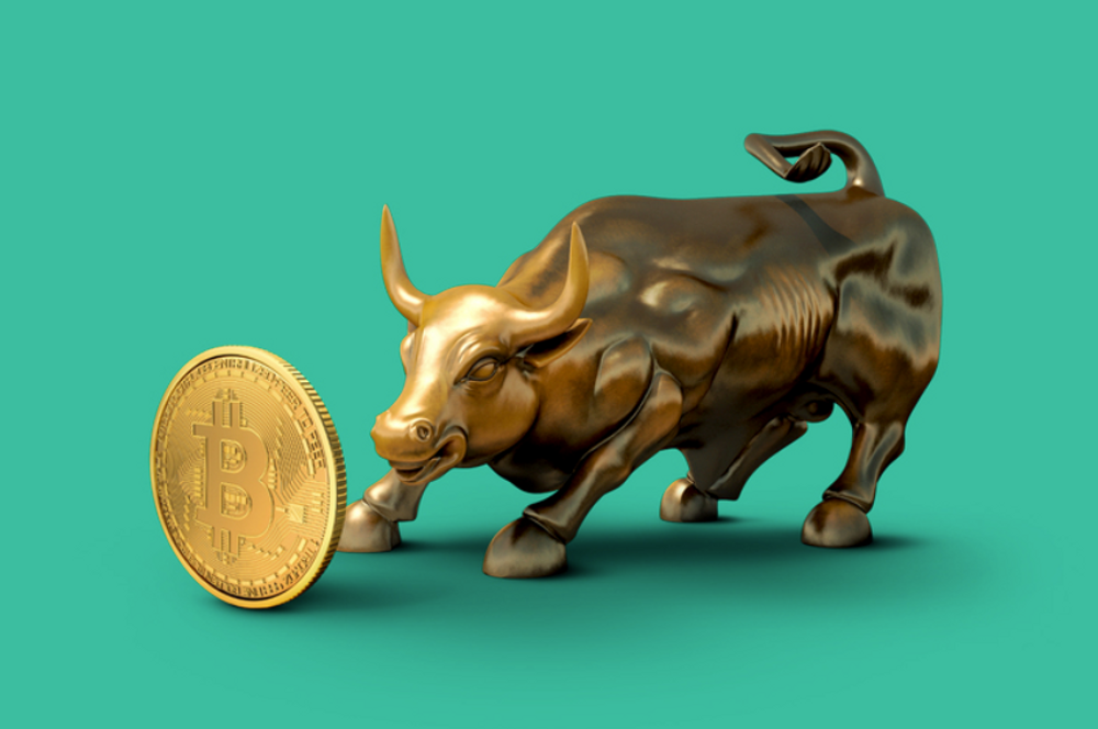 bitcoin bull